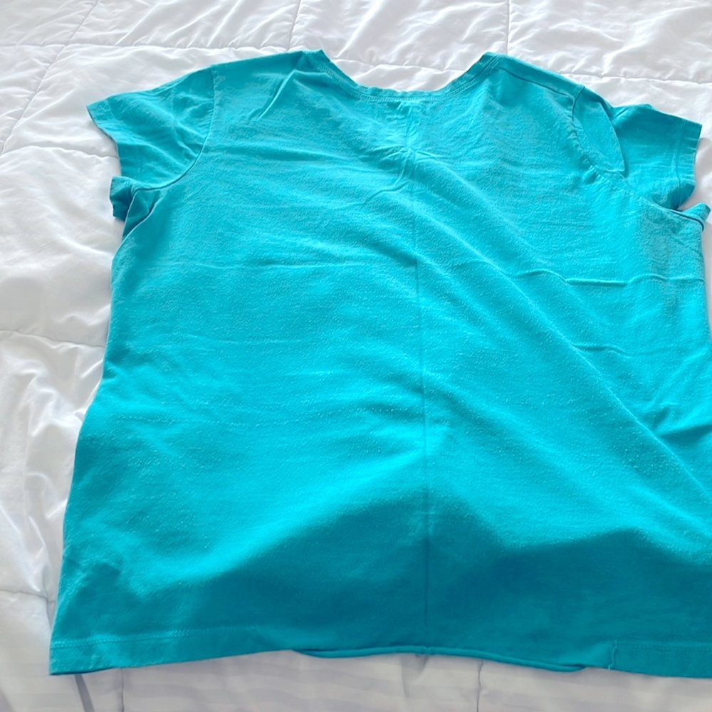 Champion light blue Vneck Tshirt